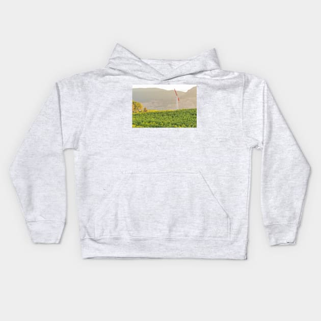 Okanagan Valley Summer Vineyard View Kids Hoodie by Amy-K-Mitchell